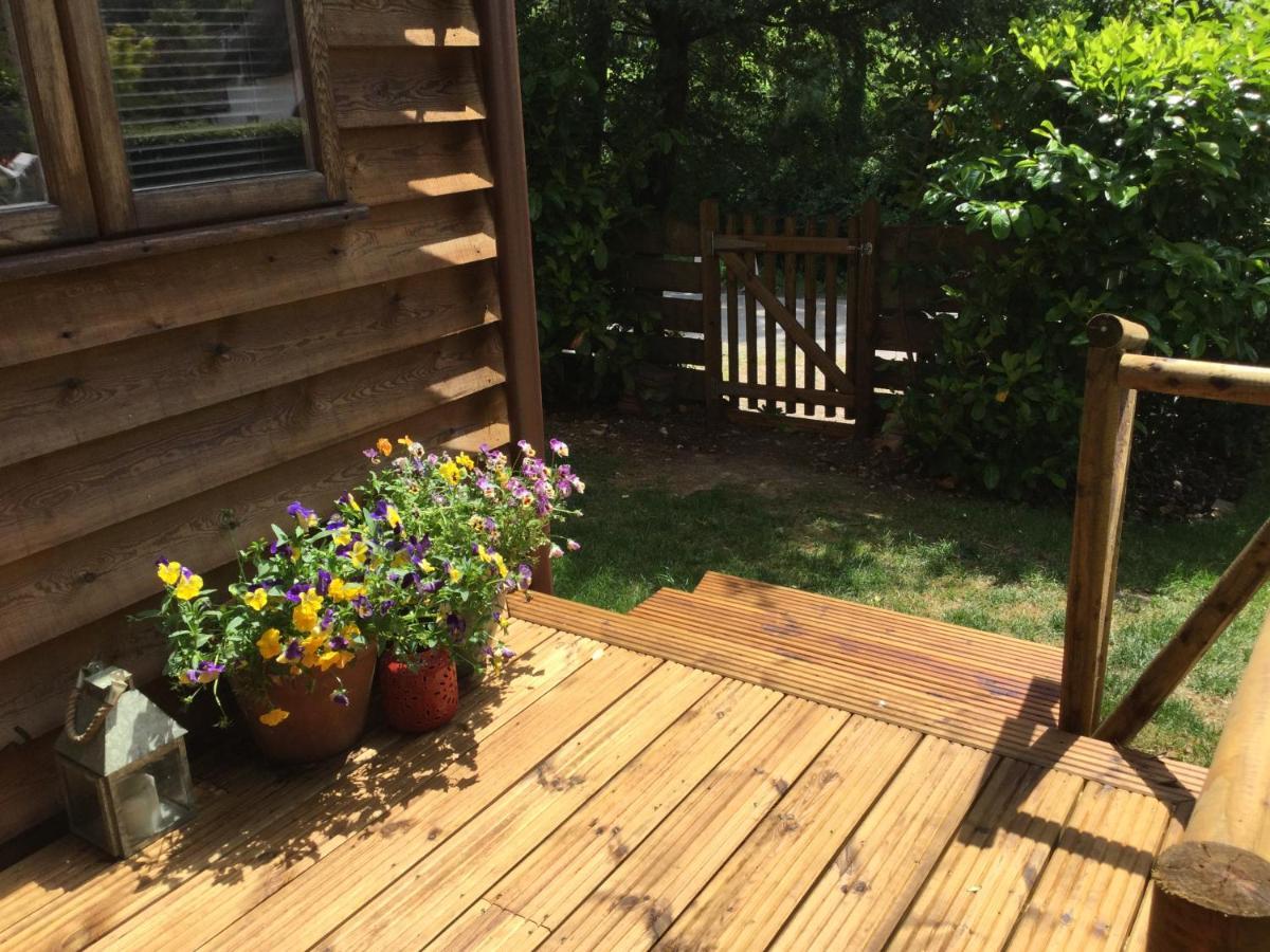 Apartament Pienook Blandford Forum Zewnętrze zdjęcie